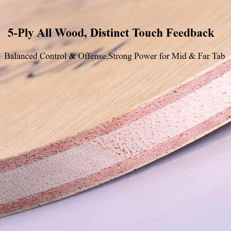 YINHE 985 Japanese Penhold Tab - Table Tennis Table 评论和价格